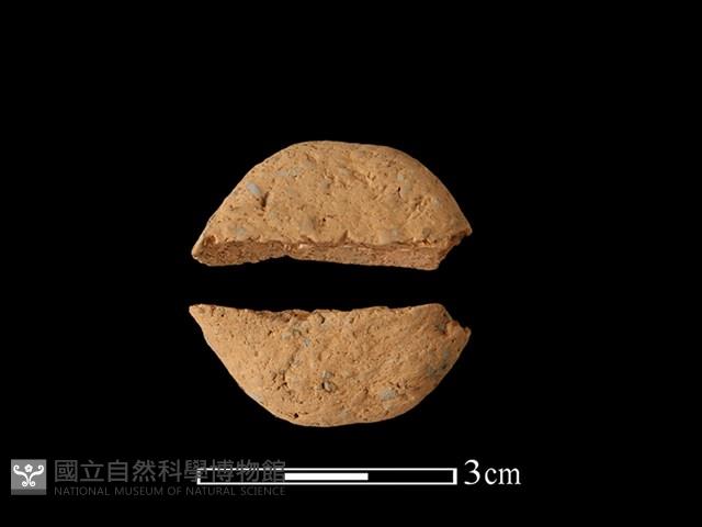 陶耳藏品圖，第1張