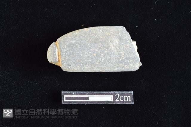 網墜藏品圖，第1張