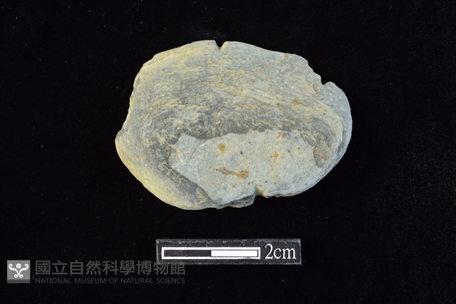 網墜藏品圖，第1張