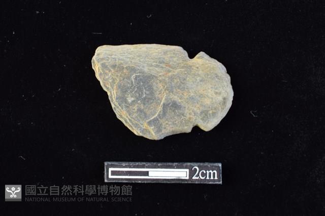 網墜藏品圖，第1張