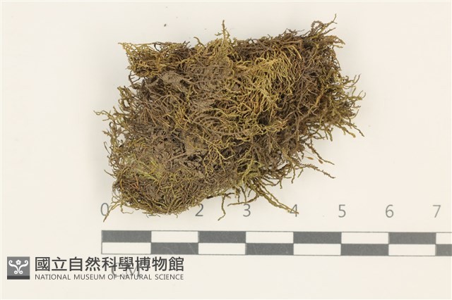 登錄號:B00014032藏品圖，第1張