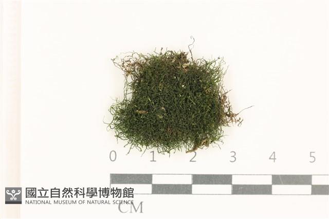 登錄號:B00021132藏品圖，第1張