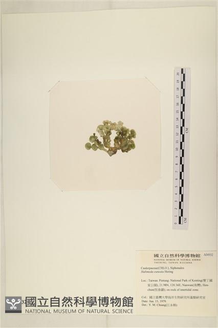 登錄號:A00004932藏品圖，第3張