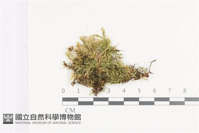 登錄號:B00011932藏品圖，第1張