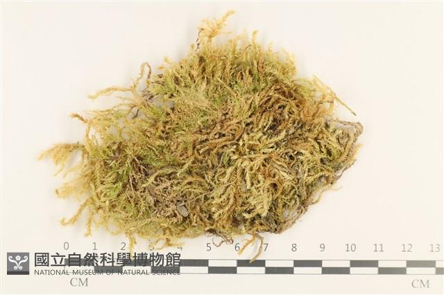 登錄號:B00011052藏品圖，第1張