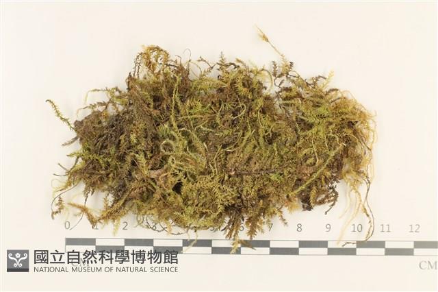 登錄號:B00003052藏品圖，第1張