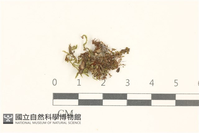 登錄號:B00014852藏品圖，第1張