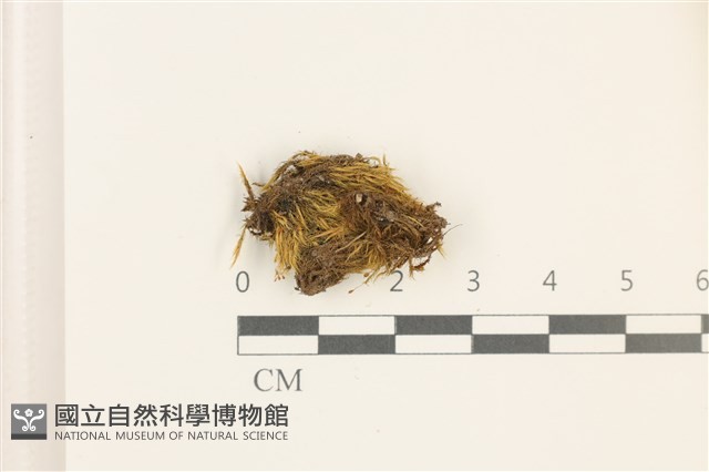 登錄號:B00002222藏品圖，第1張