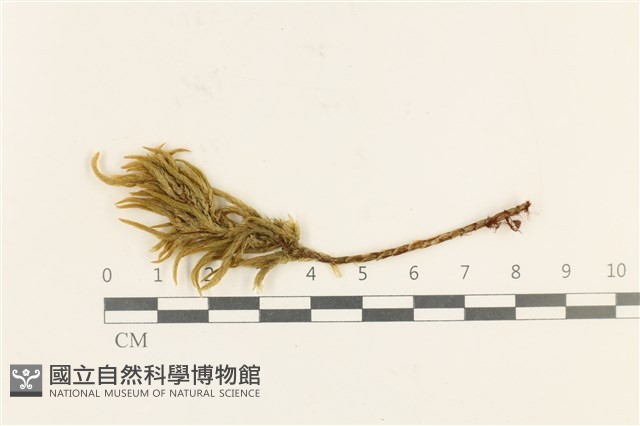 登錄號:B00006022藏品圖，第1張