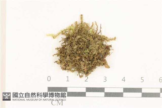 登錄號:B00021122藏品圖，第1張