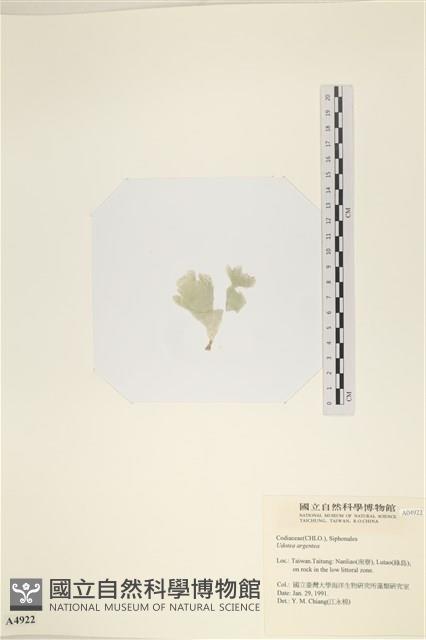 登錄號:A00004922藏品圖，第3張