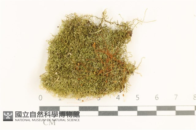 登錄號:B00003922藏品圖，第1張
