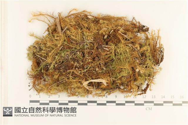 登錄號:B00017822藏品圖，第1張