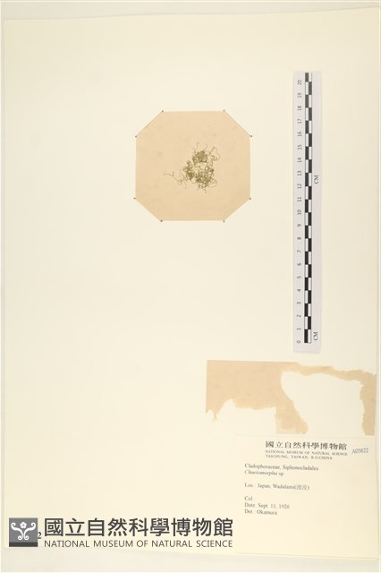 登錄號:A00003822藏品圖，第3張