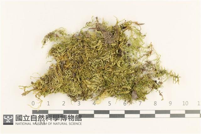 登錄號:B00013272藏品圖，第1張