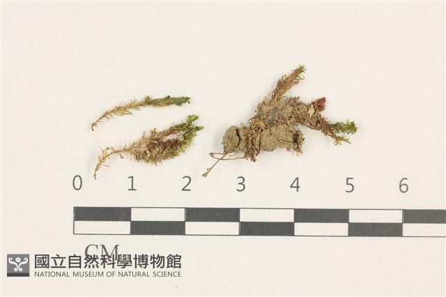 No.860335藏品圖，第1張