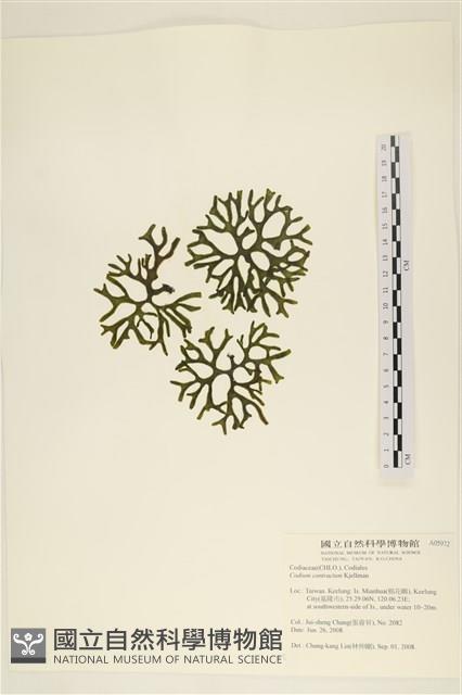 登錄號:A00005972藏品圖，第1張