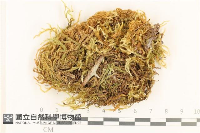 登錄號:B00011972藏品圖，第1張