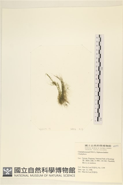 登錄號:A00001972藏品圖，第3張
