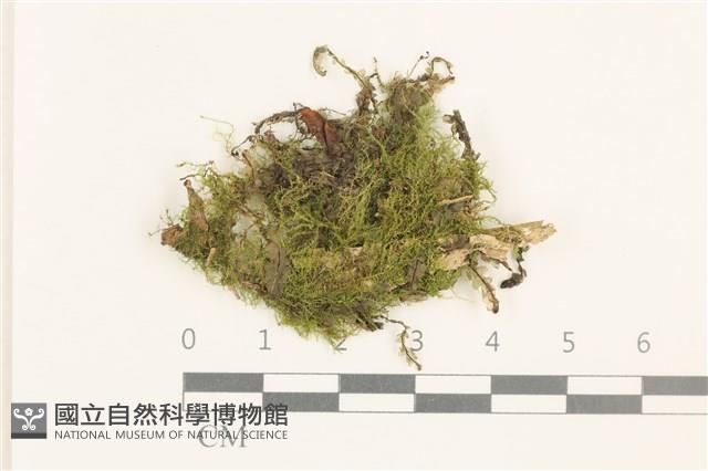 登錄號:B00014872藏品圖，第1張