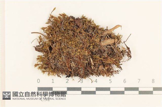 登錄號:B00003012藏品圖，第1張