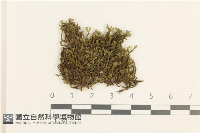 登錄號:B00021112藏品圖，第1張