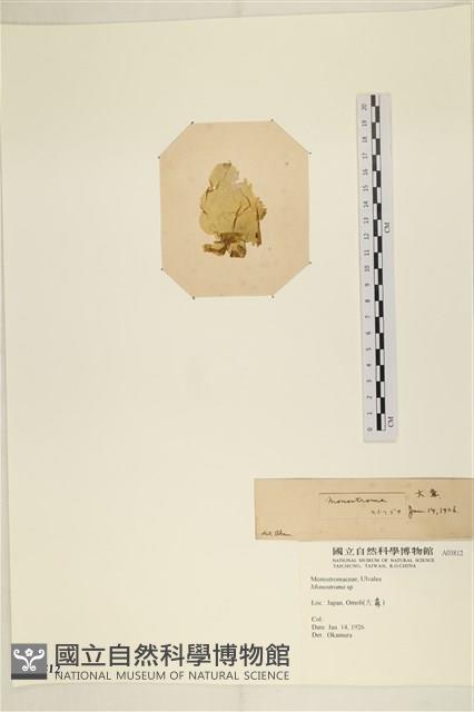 登錄號:A00003812藏品圖，第3張