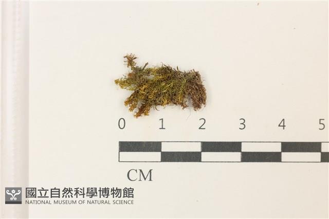 登錄號:B00000292藏品圖，第1張