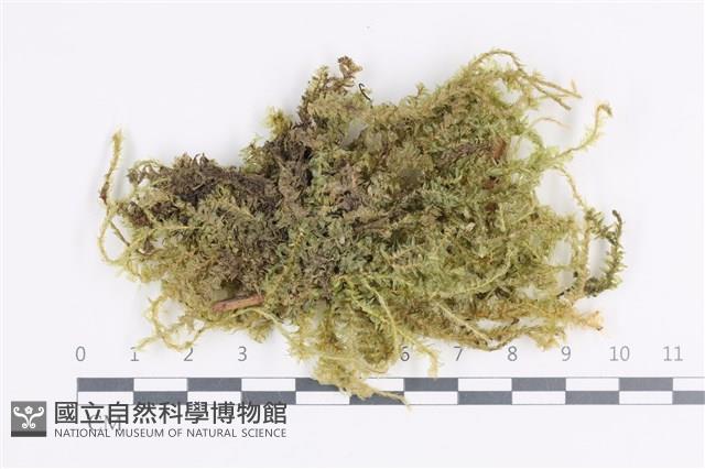 登錄號:B00002092藏品圖，第1張