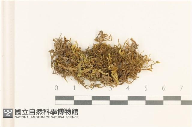 登錄號:B00014092藏品圖，第1張