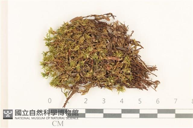 登錄號:B00016192藏品圖，第1張