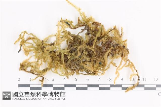 登錄號:B00000192藏品圖，第1張