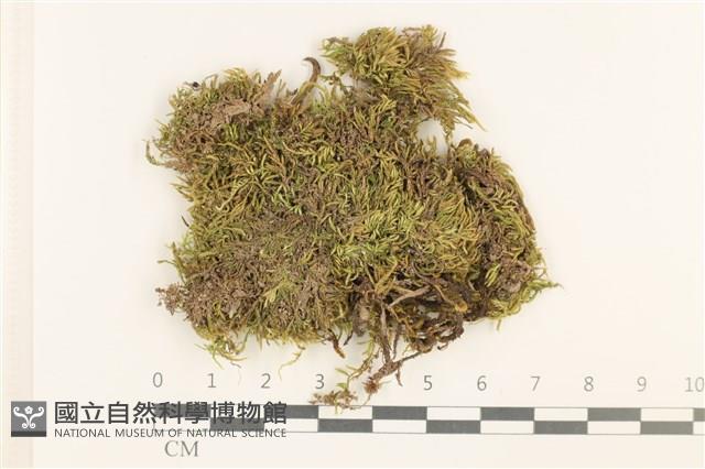 登錄號:B00012992藏品圖，第1張