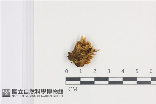 登錄號:B00008992藏品圖，第1張