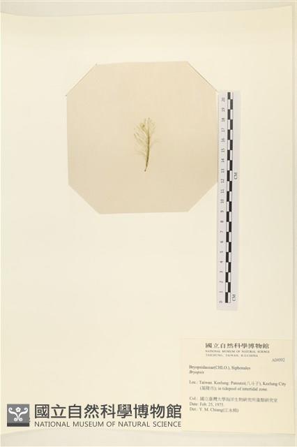 登錄號:A00004992藏品圖，第3張