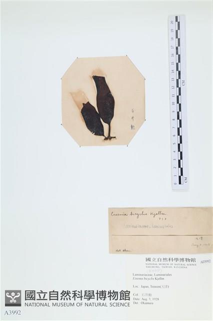 登錄號:A00003992藏品圖，第3張