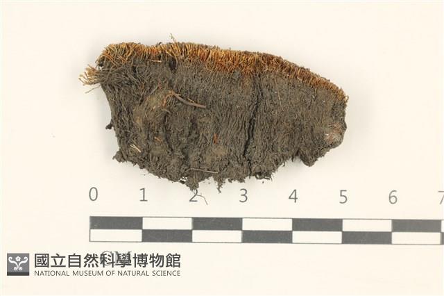 登錄號:B00017892藏品圖，第1張