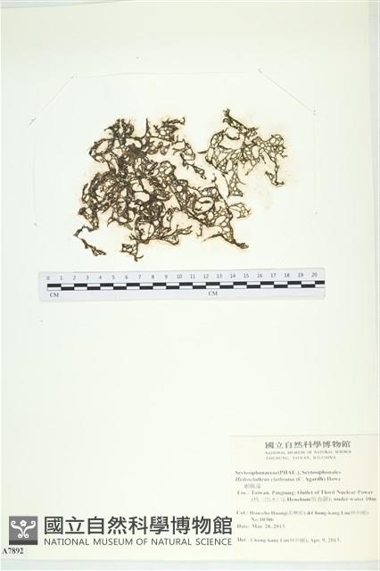 登錄號:A00007892藏品圖，第1張