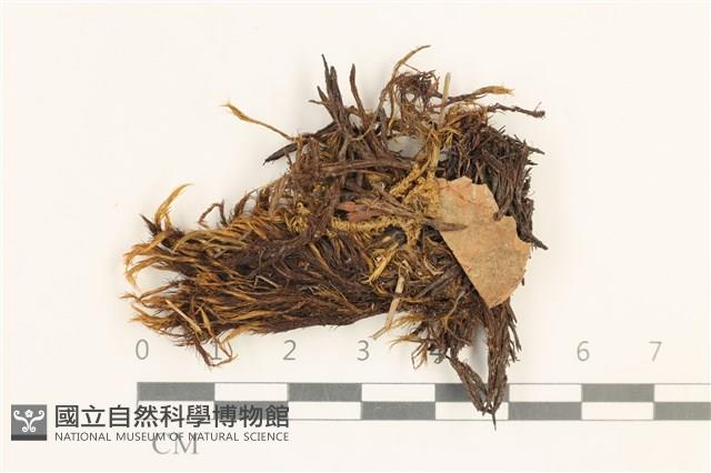 Accession Number:B00010142 Collection Image, Figure 1, Total 2 Figures