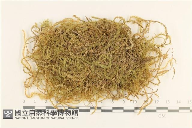 登錄號:B00003142藏品圖，第1張