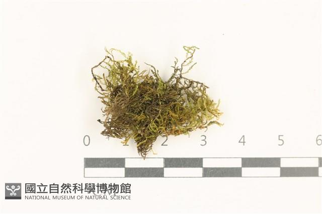 登錄號:B00002842藏品圖，第1張