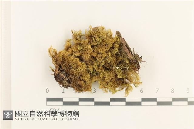 登錄號:B00017842藏品圖，第1張