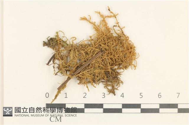 登錄號:B00015842藏品圖，第1張