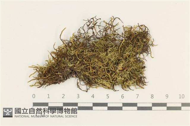 登錄號:B00002262藏品圖，第1張