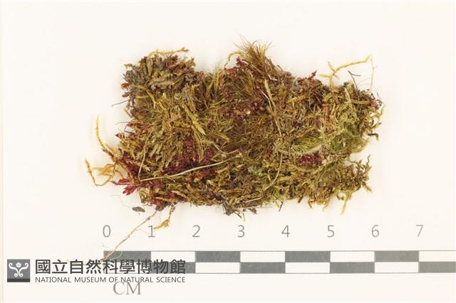 登錄號:B00015162藏品圖，第1張