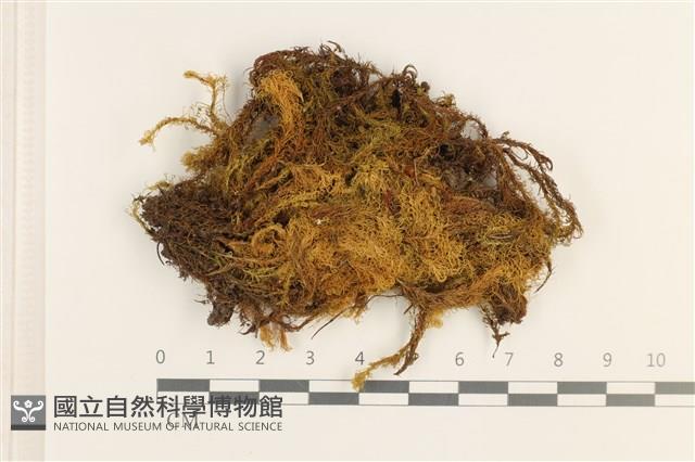 登錄號:B00005162藏品圖，第1張