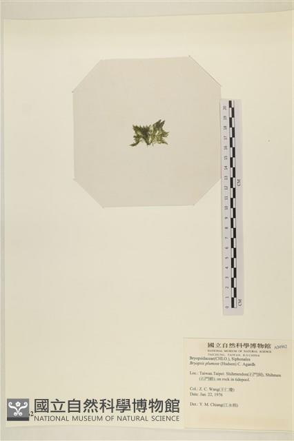 登錄號:A00004962藏品圖，第3張