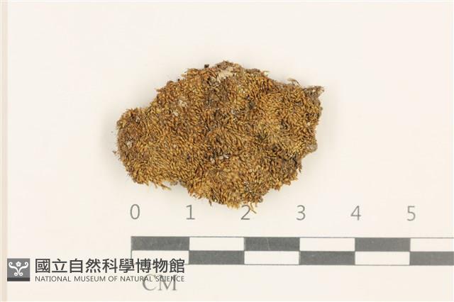 登錄號:B00014862藏品圖，第1張