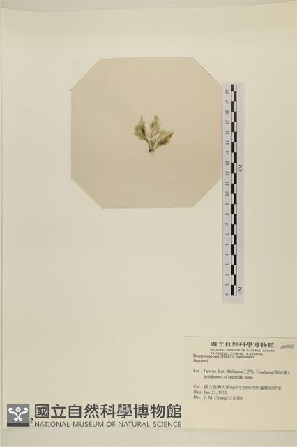登錄號:A00004862藏品圖，第3張