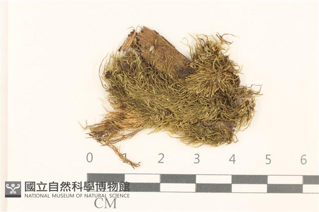 登錄號:B00015862藏品圖，第1張